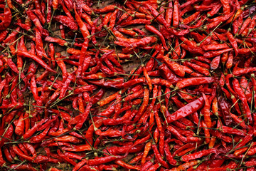 close up many dried chilli