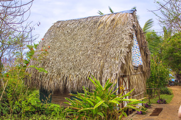 Fototapeta na wymiar bure with thatched roof