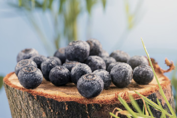 Fresh juicy forest berries of blueberries lie on a tree stump in a cool forest.