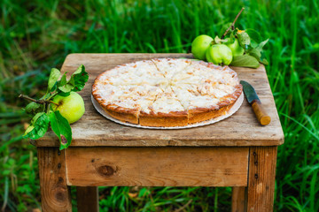 Homemade apple pie in the garden