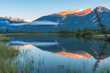 Fototapeta na wymiar Mirror Reflection of a Mountain in a Lake Near Jasper Canada
