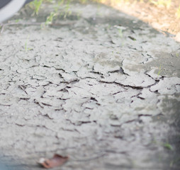 Land with dry and cracked ground. Desert,Global warming background.