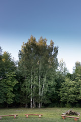 Campfire ring in the country