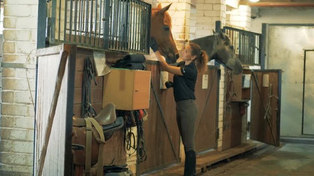 Young female equestrian is talking to a horse in the stables