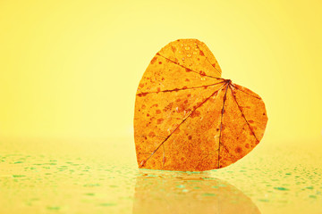 Yellow autumn leaf in the shape of a heart on a rainy glass.