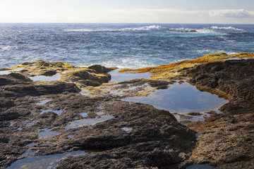 Rock pool at the coast in Mosteiros, Sao Miguel Island, Azores, Portugal