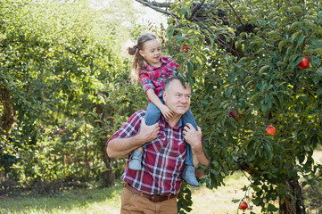 grandfather with granddaughter with Apple in the Apple Orchard.