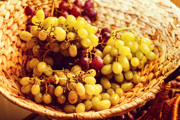 White and dark grapes in a basket on gray. Abstract minimal fruit still life