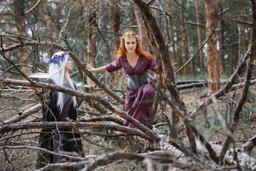 Heroes of fairy tales and fantasy. Druid, half-elven, elf, witch, fairy.