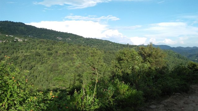 Mauntain rype 2