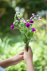 Fototapeta na wymiar wild beautiful flower bouquet holding in hands