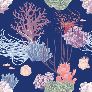 Seamless pattern with hand drawn coral reef