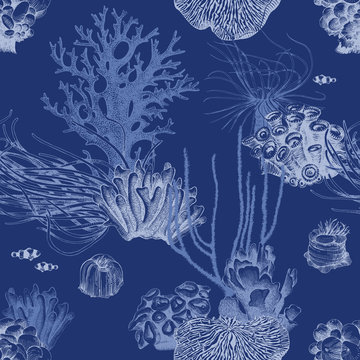Seamless pattern with hand drawn coral reef