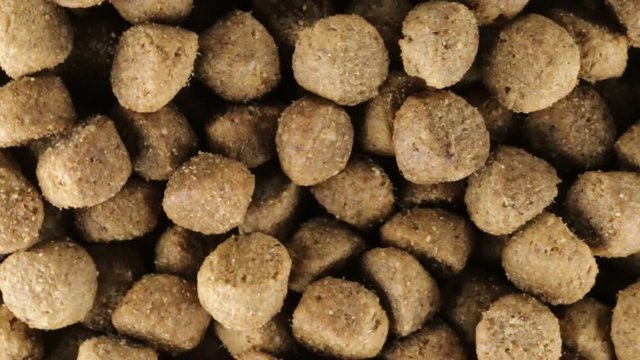 Croccantini per cani