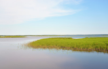 Wetland lake Sestroretsky Razliv.