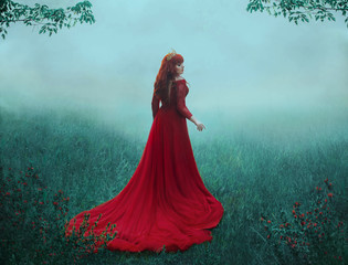 The Queen in a luxurious, expensive, red dress, walks in a thick fog with a long train. A...