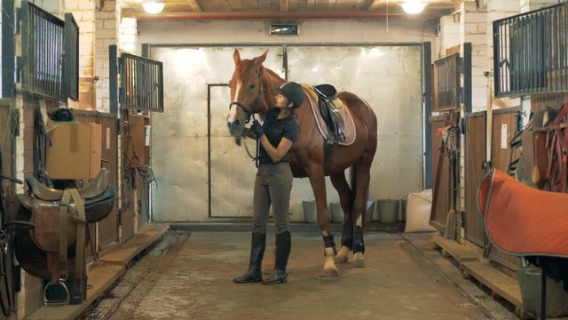 Equestrian in a helmet is tying and regulating horse's bridle