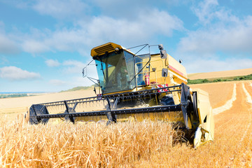 moissonneuse en action