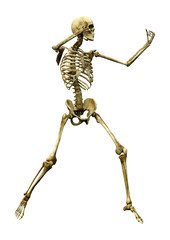 3D Rendering Human Skeleton on White