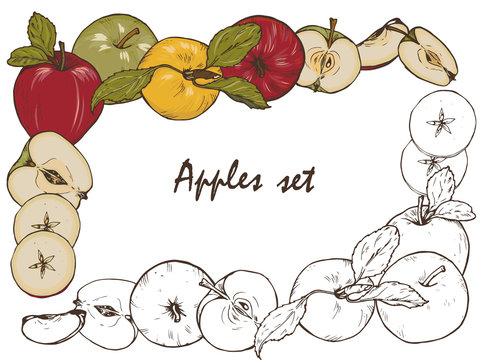Whole apples, cut into halves and slices, set, vector illustration