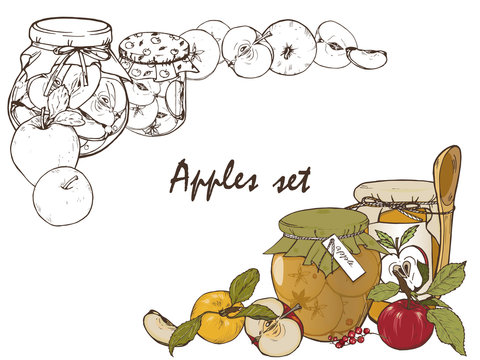 Whole apples, cut into halves and slices, jam in a jar,spices and berries, set, vector illustration