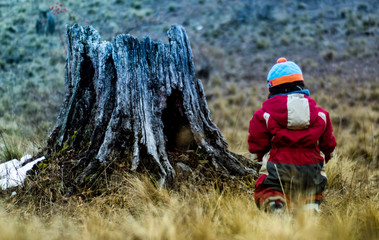  vestiges of our mountain ancestors