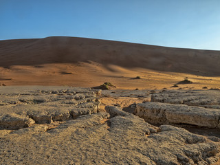 Fototapeta na wymiar Magic Landscape in Deadvlei, Namibia