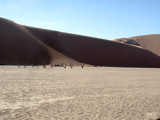 Fototapeta na wymiar Magic dune in Sossusvlei, Namibia