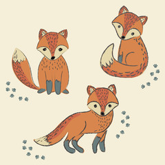 set foxes
