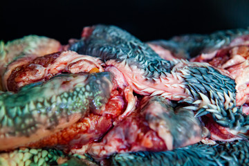 Fresh raw beef cheek or beef lip. May look alien-like but it is one of the most underrated part of...