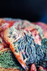 Fresh raw beef cheek or beef lip. May look alien-like but it is one of the most underrated part of...