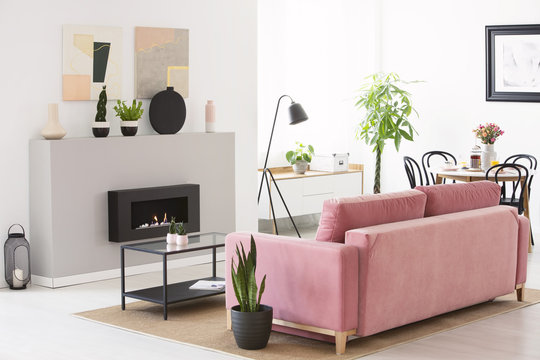 Pink velvet couch standing in real photo of Scandinavian style living room interior with fresh plants, fireplace and table with flowers and breakfast