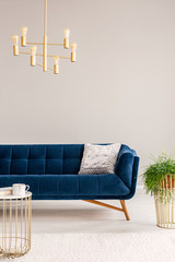 Real photo of a golden chandelier in a living room interior with a sofa, pillow, plant and coffee table, and cup. Place your graphic