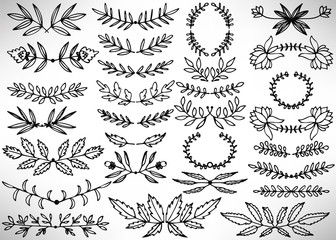 Big Floral Set of black hand drawn dividers, laurel wreaths, leaves, flowers, branches isolated on white. Collection of flourish elements for design. Vector illustration.