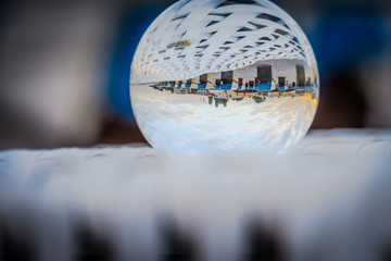 Seagull meats Lensball