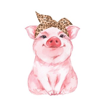 Funny pig wearing leopard bandana. Isolated on white. Cute watercolor illustration