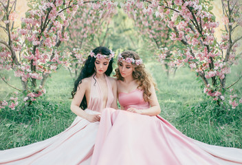 Two stunning elf are sitting in the fabulous cherry blossom garden. Princesses in luxurious, pink...