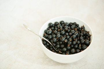 Very delicious and juicy organic black currant in a bowl, fresh and ready to eat.