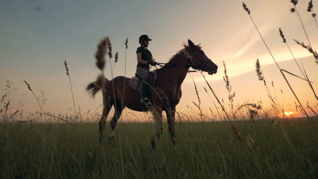 Brown horse with a jockey girl sitting astride it