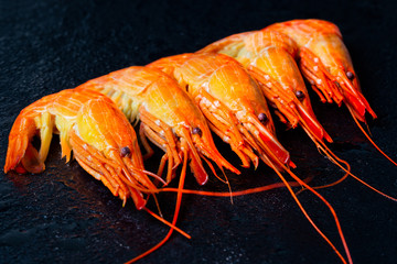 Shrimp in a shell on a wet stone background.