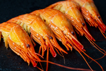 Shrimp in a shell on a wet stone background.