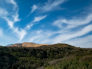 塚原温泉　大分自動車道