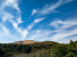 塚原温泉　大分自動車道