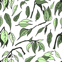 Seamless pattern with leaves of ficus benjamin