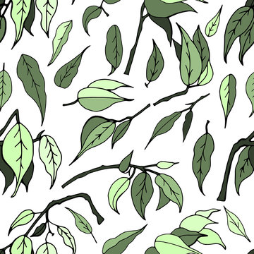 Seamless pattern with leaves of ficus benjamin