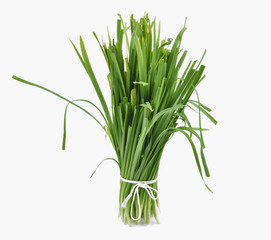 Chinese chives, Garlic chives isolated on white background