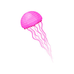 Small swimming jellyfish. Bright pink marine animal with long thin tentacles. Sea creature. Flat vector for print or children book