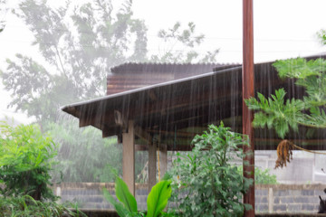 Torrential rains in countryside on rainy season, bad weather concept.