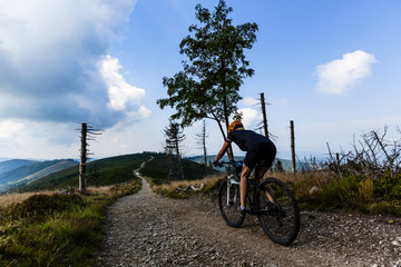 Fototapeta na wymiar Mountain biking women riding on bike in summer mountains forest landscape. Woman cycling MTB flow trail track. Outdoor sport activity.