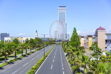 Cityscape of Rinku Town viewing Rinku Gate Tower Building and Ferris wheel